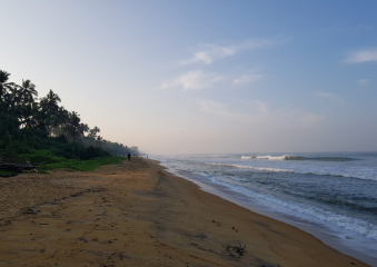 Bild Sri Lanka neu erleben Reisebericht